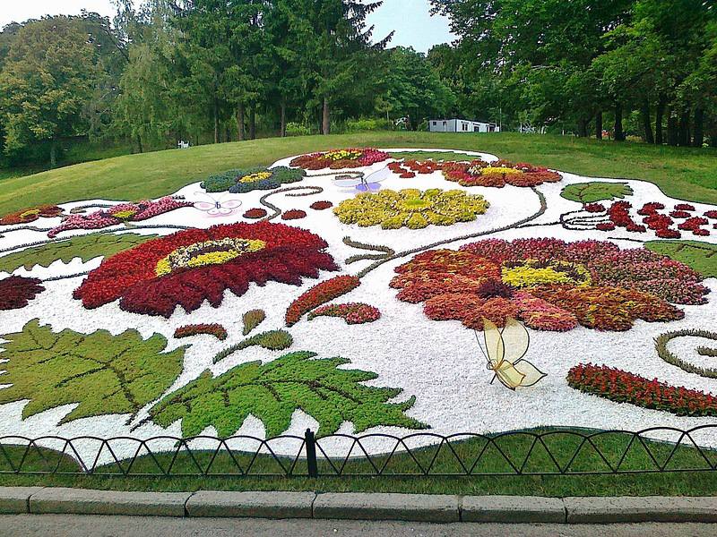 мраморная крошка на клумбе